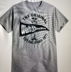 Grey Disney Parks Vintage Style T shirt